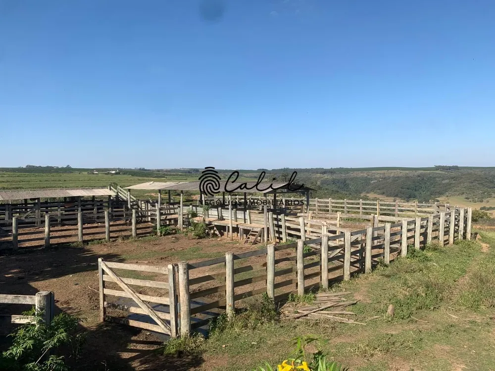 Fazenda, 235 hectares - Foto 12