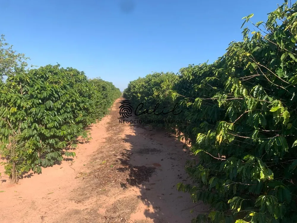 Fazenda, 235 hectares - Foto 7
