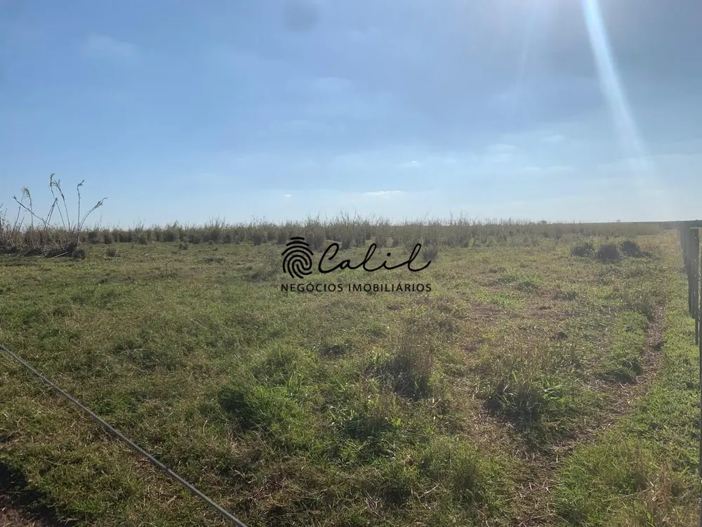 Fazenda, 235 hectares - Foto 8