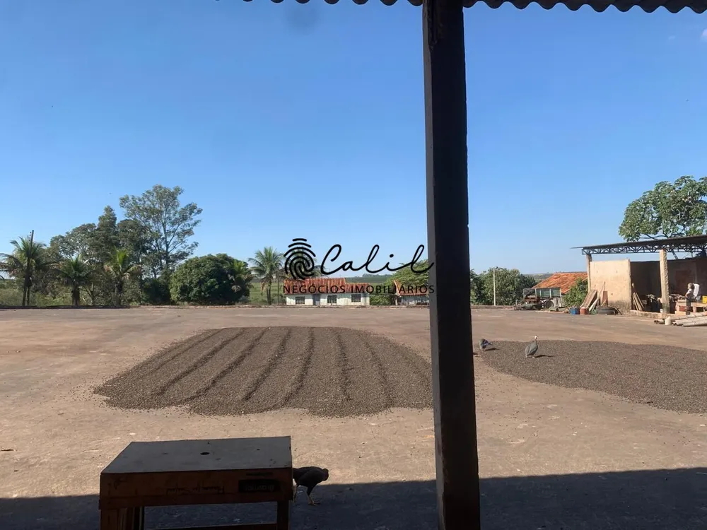Fazenda, 235 hectares - Foto 9