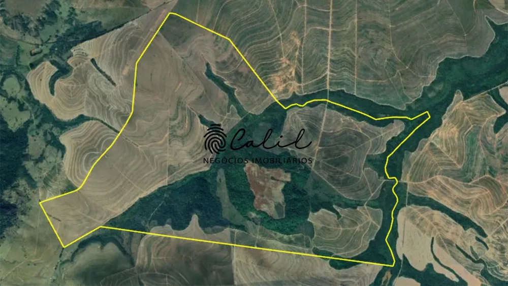 Fazenda, 235 hectares - Foto 4