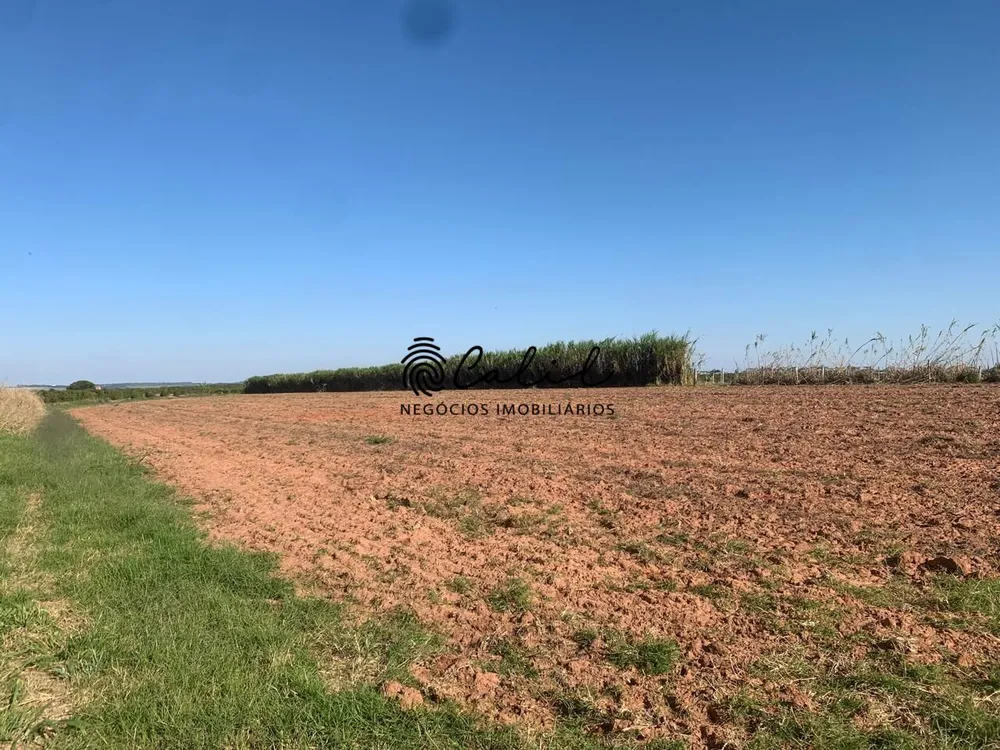Fazenda, 235 hectares - Foto 9