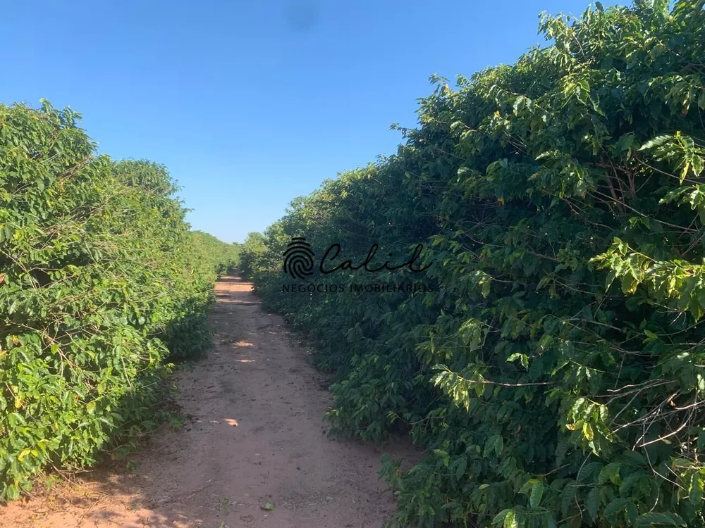 Fazenda, 235 hectares - Foto 11