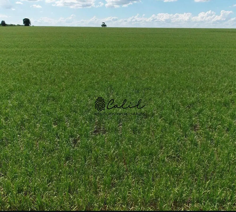 Fazenda, 956 hectares - Foto 4