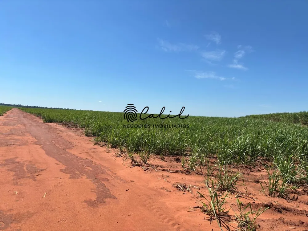 Fazenda, 956 hectares - Foto 7