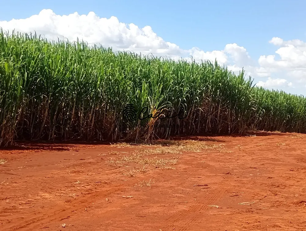 Fazenda, 956 hectares - Foto 8
