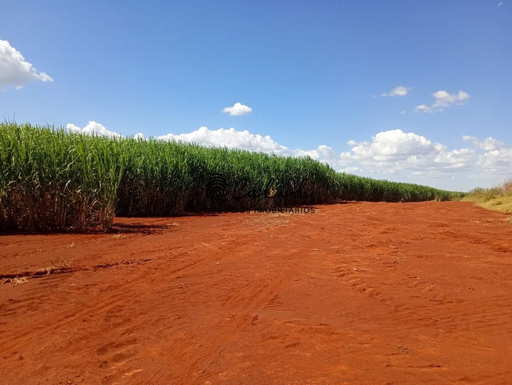 Fazenda, 956 hectares - Foto 11