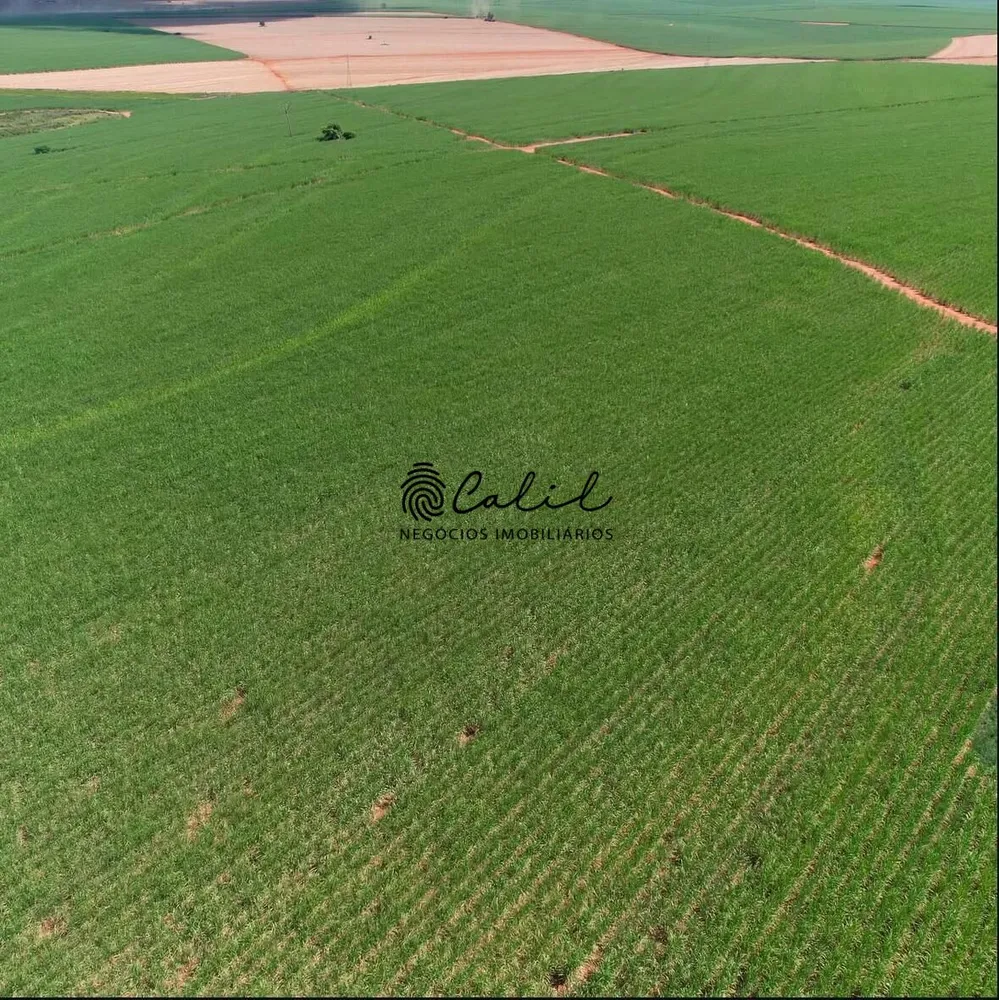 Fazenda, 956 hectares - Foto 1