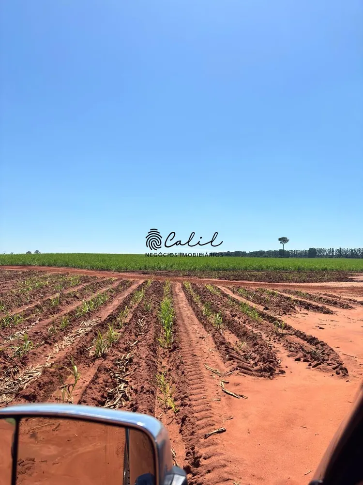 Fazenda, 956 hectares - Foto 6
