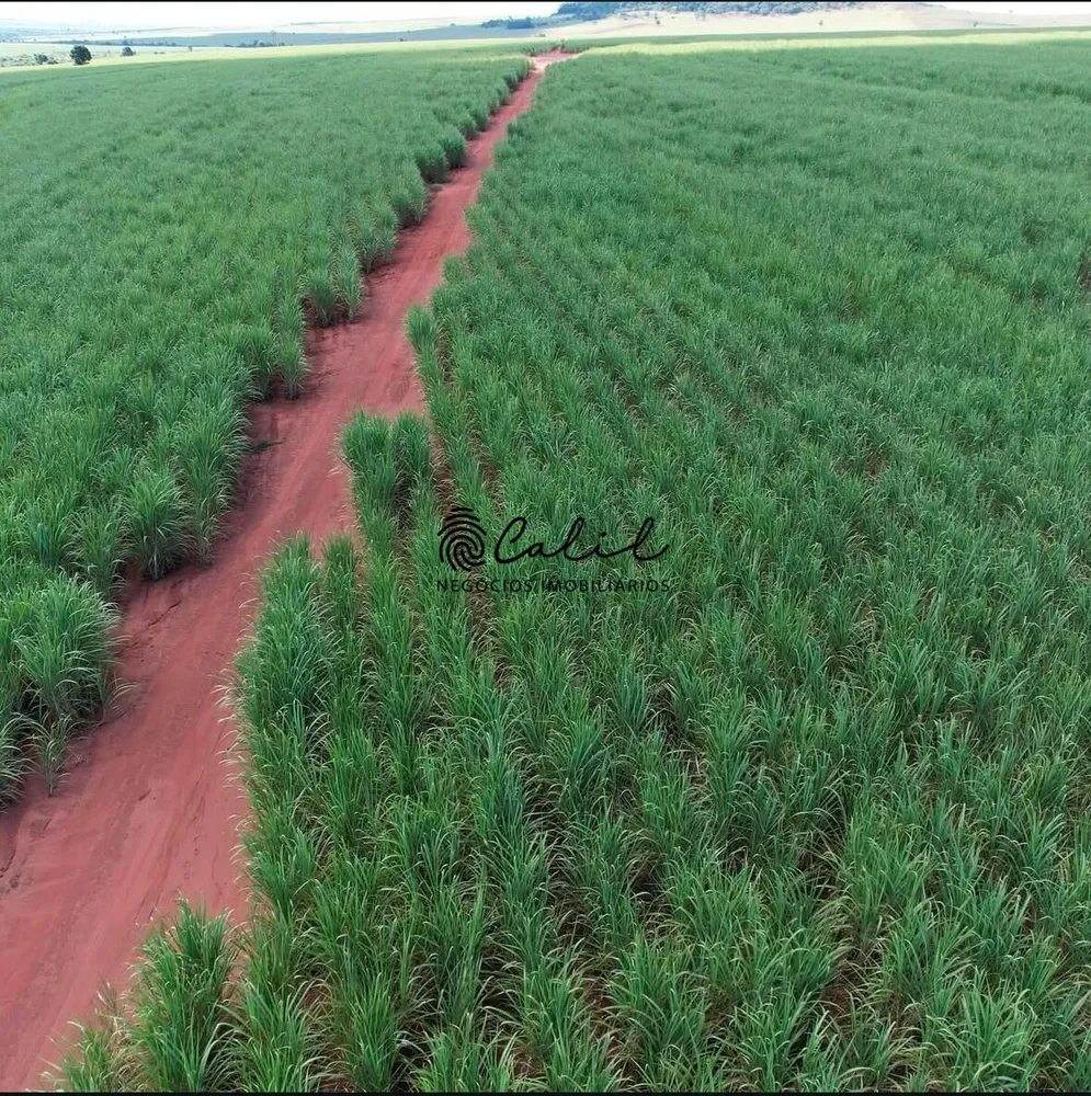 Fazenda, 956 hectares - Foto 2