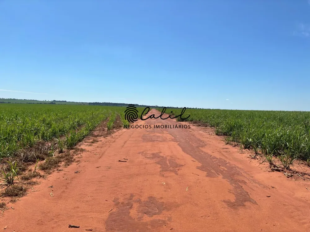 Fazenda, 956 hectares - Foto 5