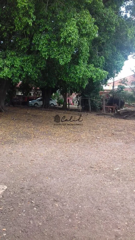 Fazenda, 198 hectares - Foto 11
