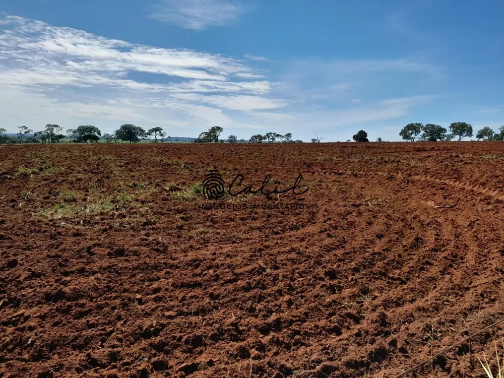 Fazenda, 270 hectares - Foto 3