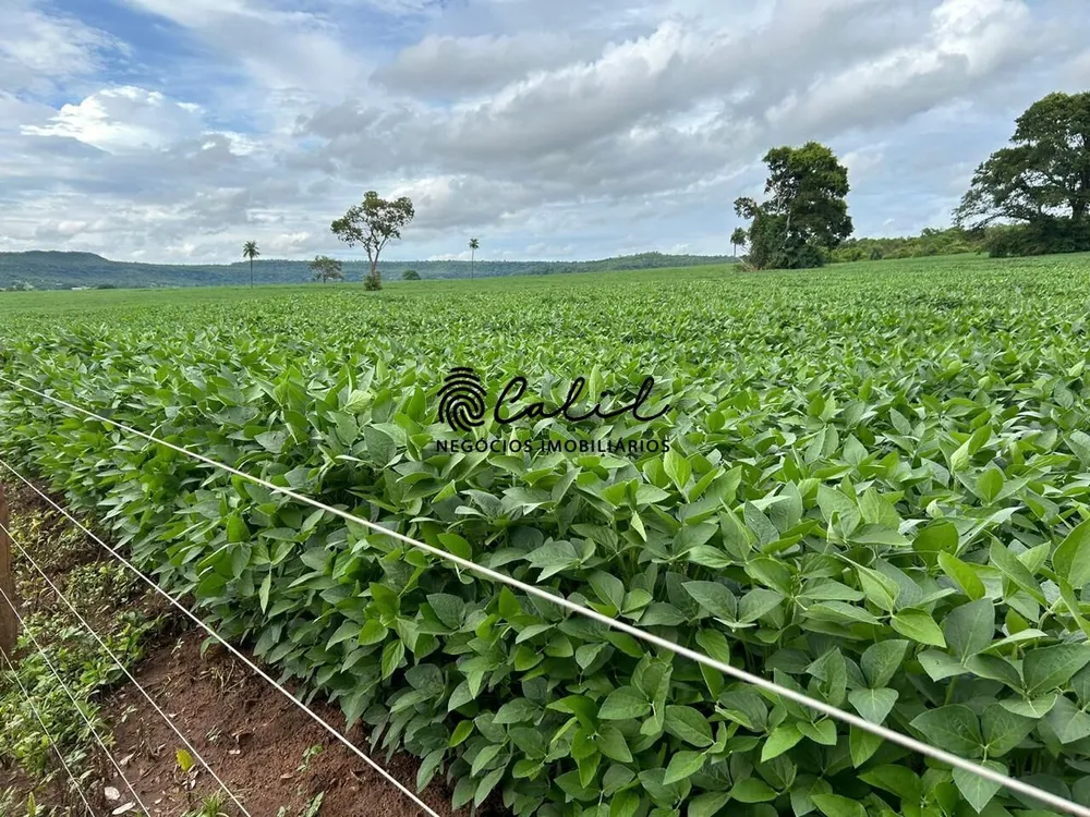 Fazenda, 270 hectares - Foto 16