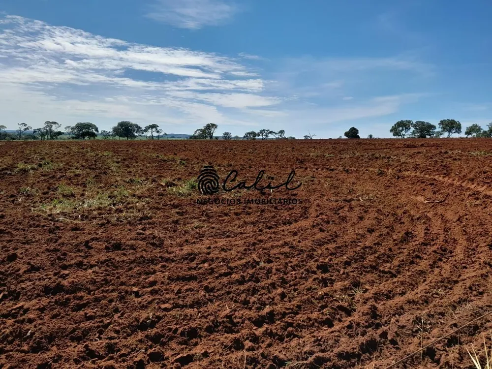 Fazenda, 270 hectares - Foto 14