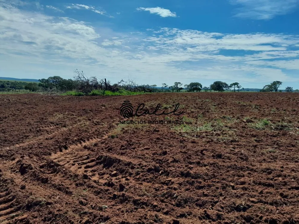 Fazenda, 270 hectares - Foto 18