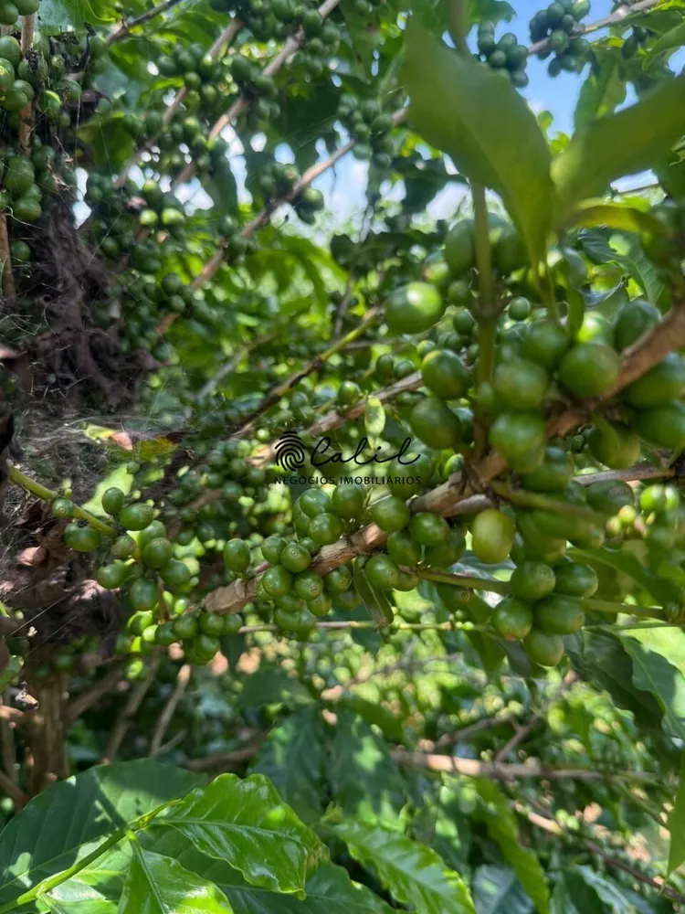 Fazenda, 640 hectares - Foto 11