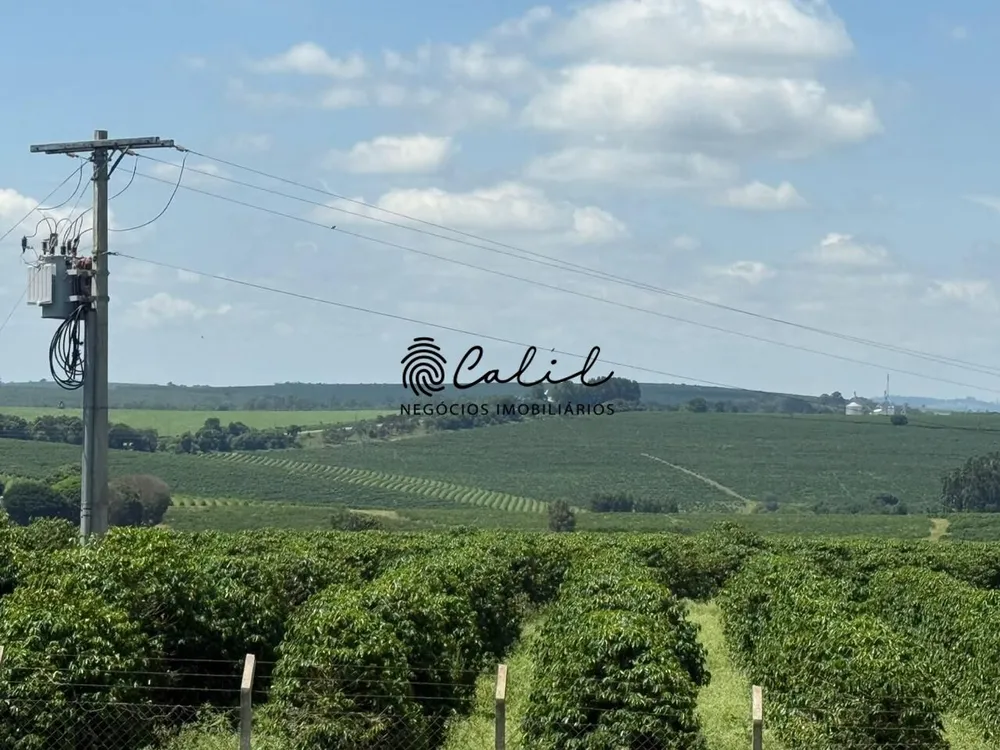 Fazenda, 640 hectares - Foto 10