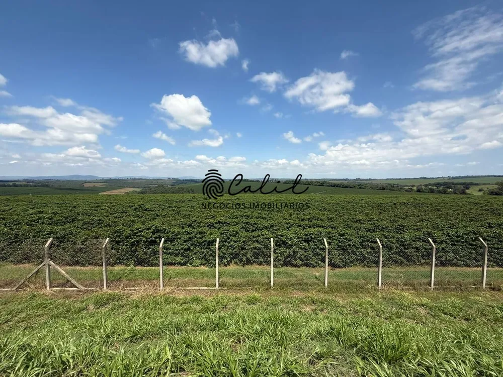 Fazenda, 640 hectares - Foto 14