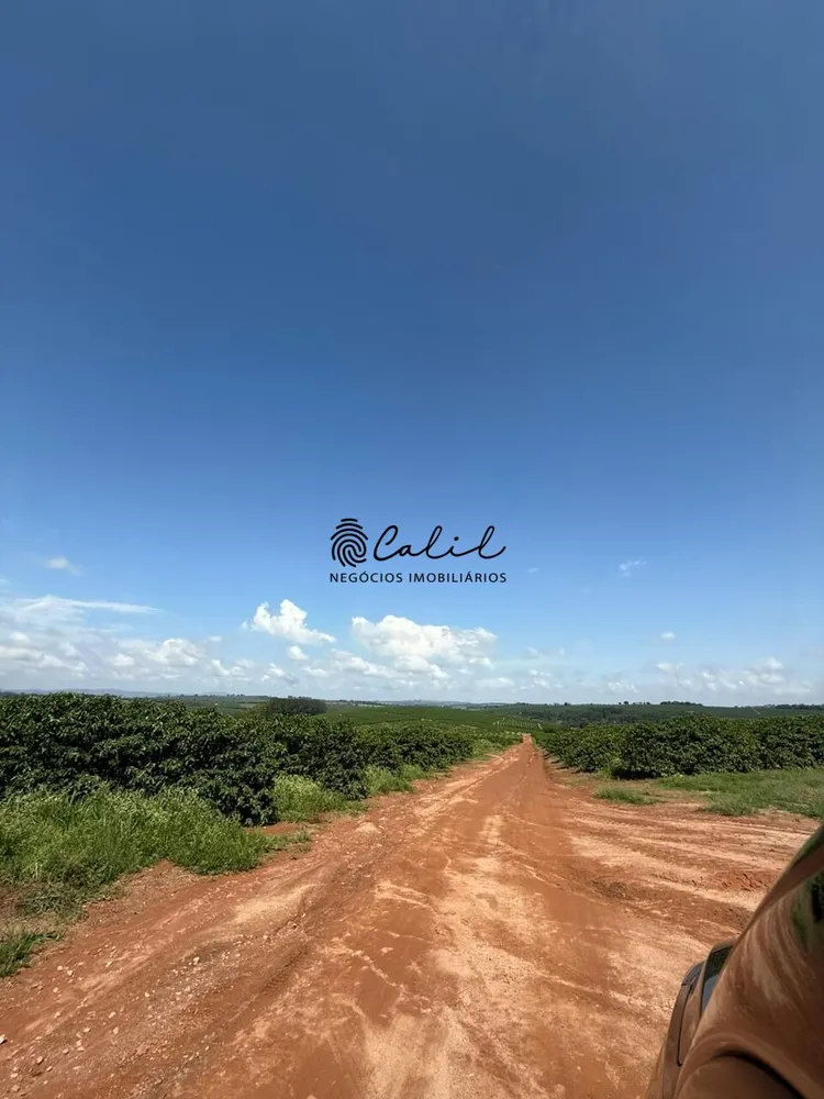 Fazenda, 640 hectares - Foto 12
