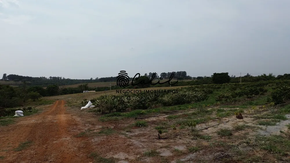 Sítio, 2 quartos, 24 hectares - Foto 14