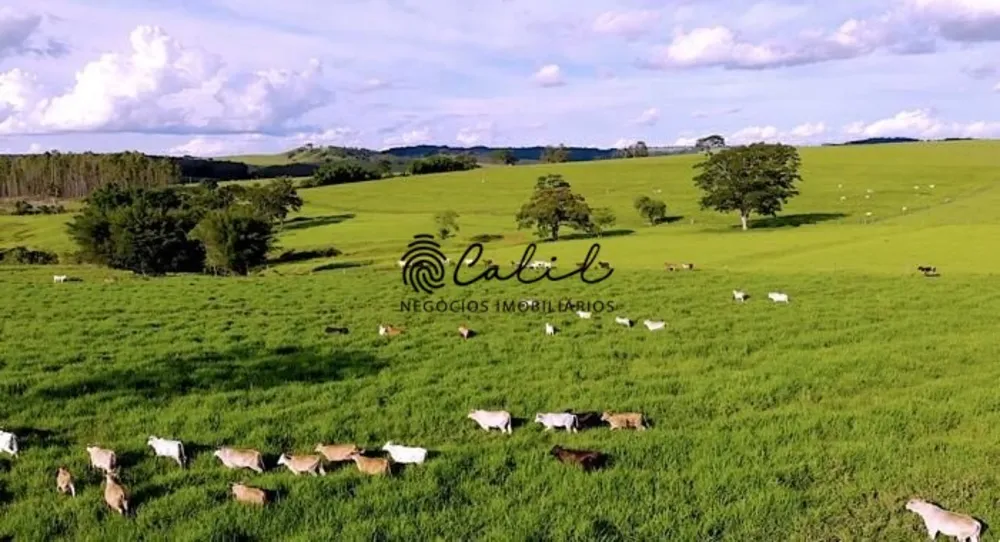Fazenda, 58 hectares - Foto 1