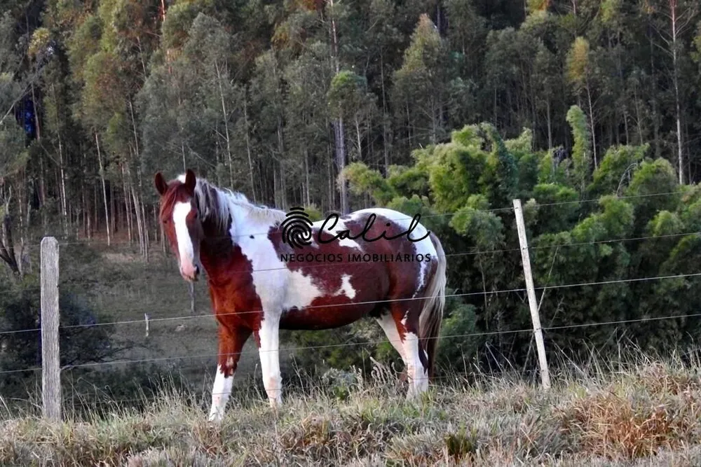 Fazenda, 58 hectares - Foto 12