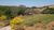 Fazenda-Sítio-Chácara, 48 hectares - Foto 4
