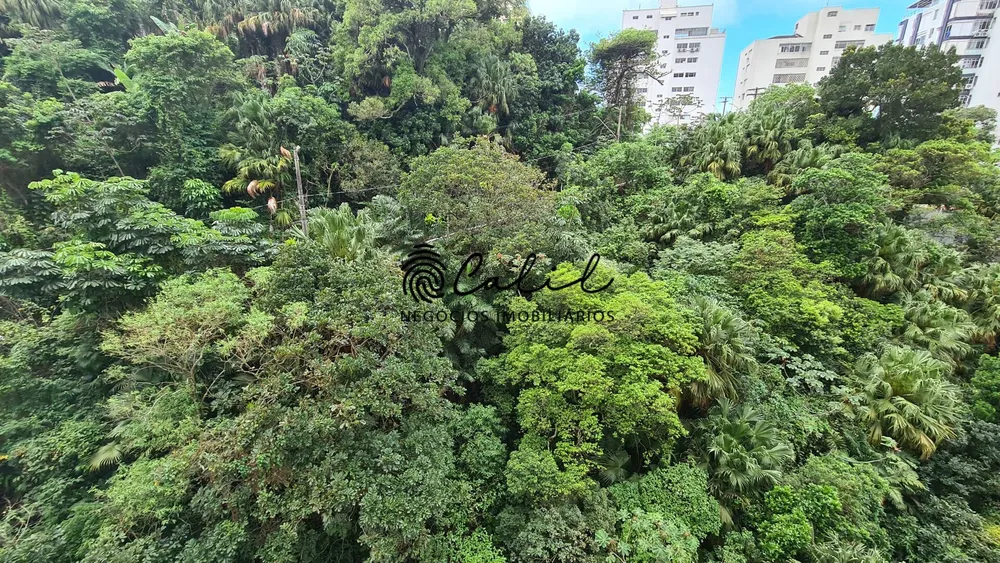 Apartamento, 6 quartos, 240 m² - Foto 20