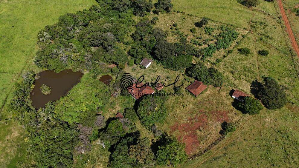 Fazenda à venda com 1 quarto, 750800m² - Foto 5