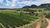 Fazenda-Sítio-Chácara, 75 hectares - Foto 13