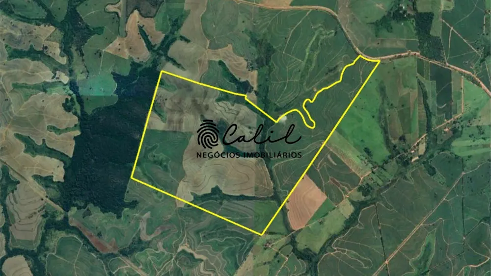 Fazenda, 610 hectares - Foto 6