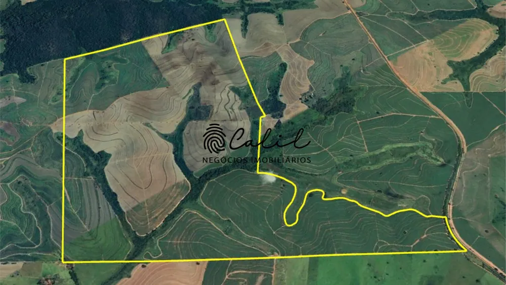 Fazenda, 610 hectares - Foto 6