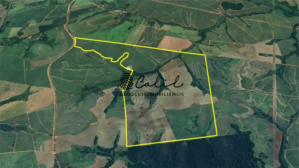 Fazenda, 610 hectares - Foto 4