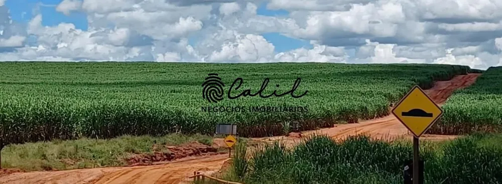 Fazenda, 610 hectares - Foto 14