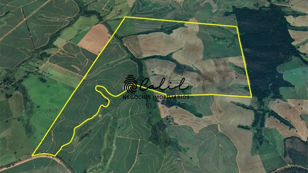 Fazenda, 610 hectares - Foto 7