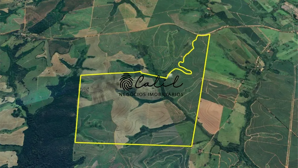 Fazenda, 610 hectares - Foto 3