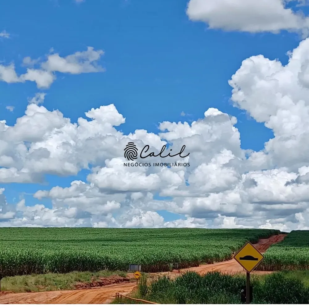 Fazenda, 610 hectares - Foto 11