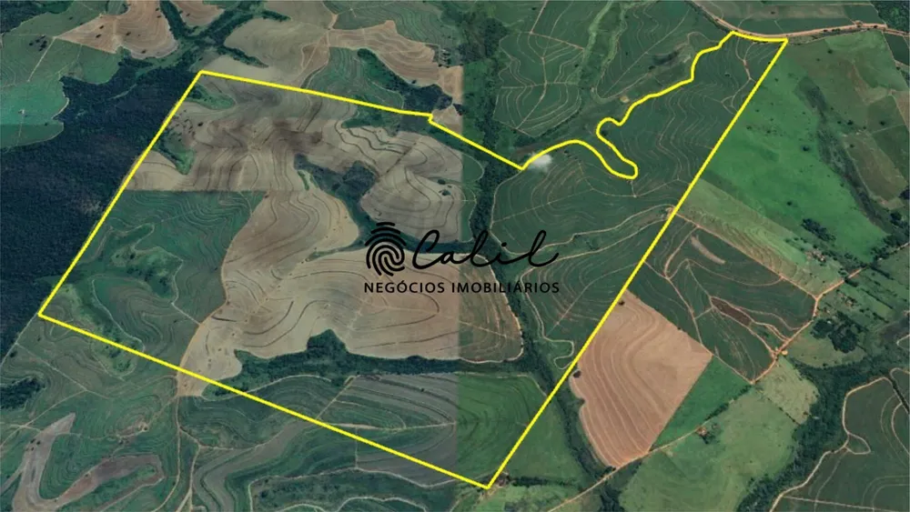 Fazenda, 610 hectares - Foto 9