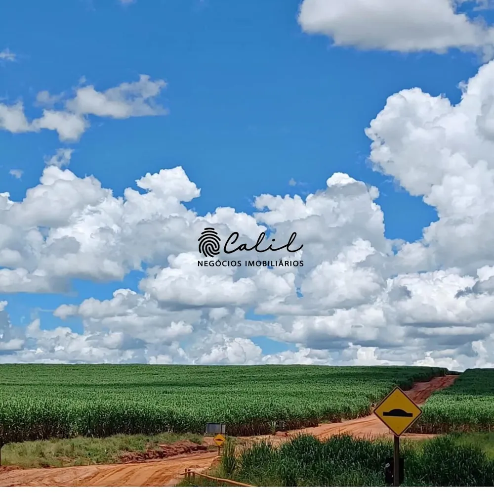 Fazenda, 610 hectares - Foto 13
