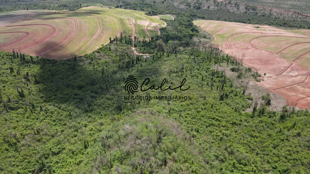 Fazenda, 131 hectares - Foto 6