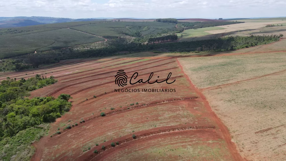 Fazenda, 131 hectares - Foto 3