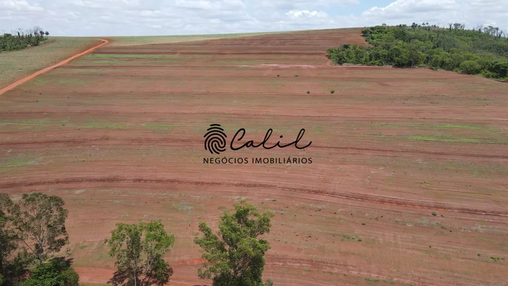 Fazenda, 131 hectares - Foto 10