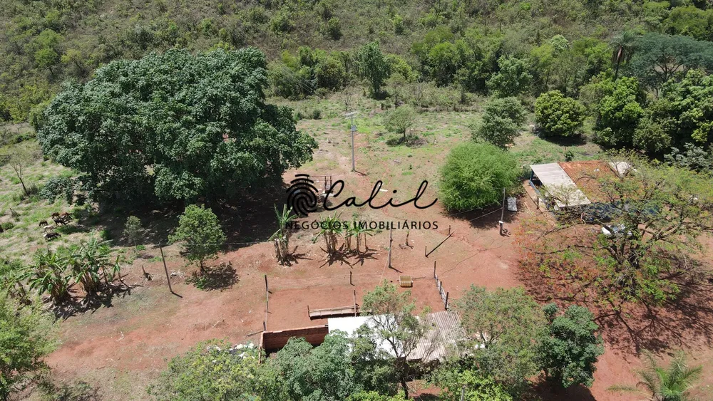 Fazenda, 131 hectares - Foto 13