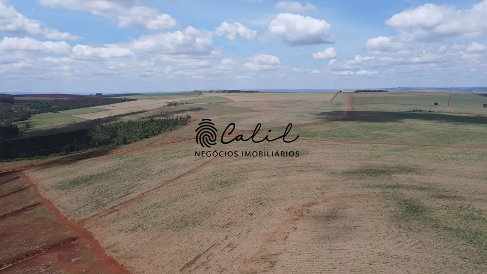 Fazenda, 131 hectares - Foto 2