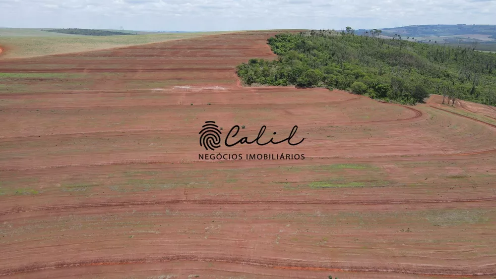 Fazenda, 131 hectares - Foto 11