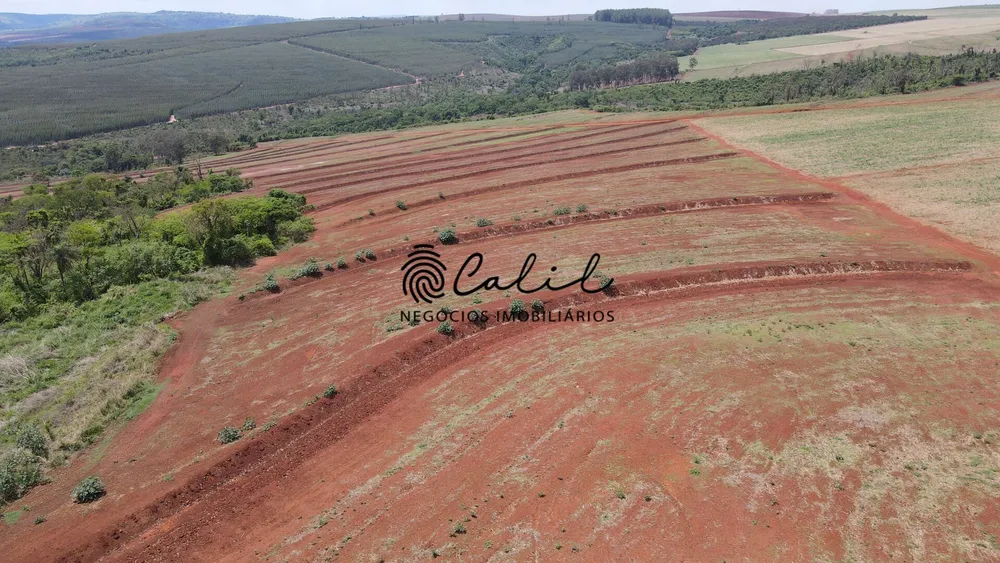 Fazenda, 131 hectares - Foto 9