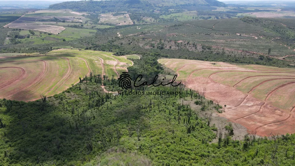 Fazenda, 131 hectares - Foto 7