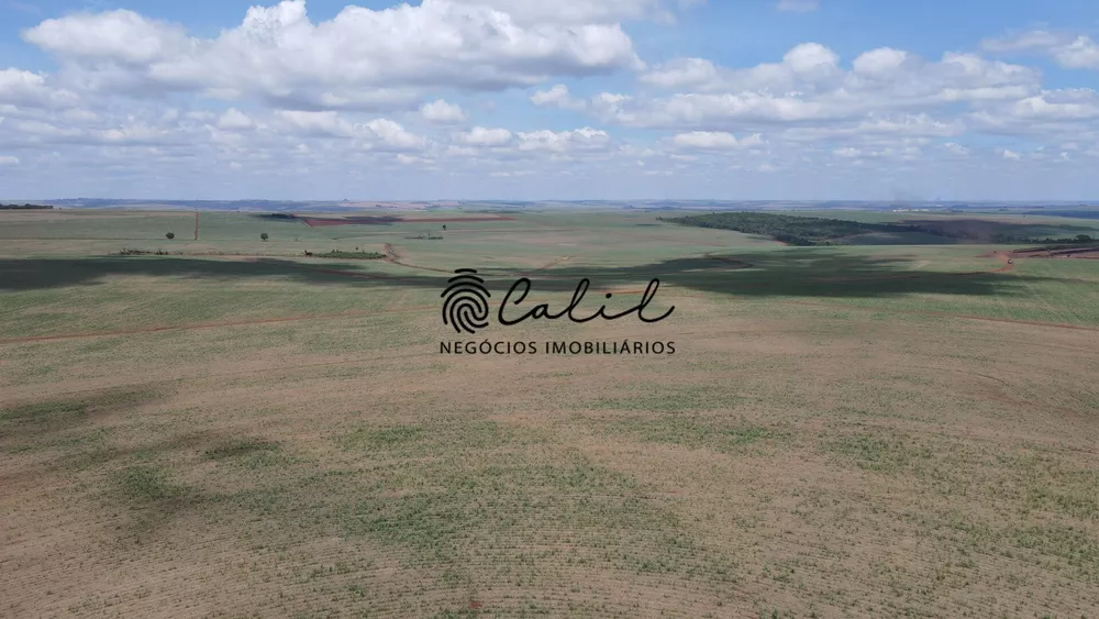 Fazenda, 131 hectares - Foto 1