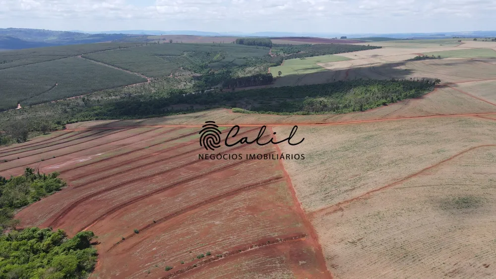 Fazenda, 131 hectares - Foto 6